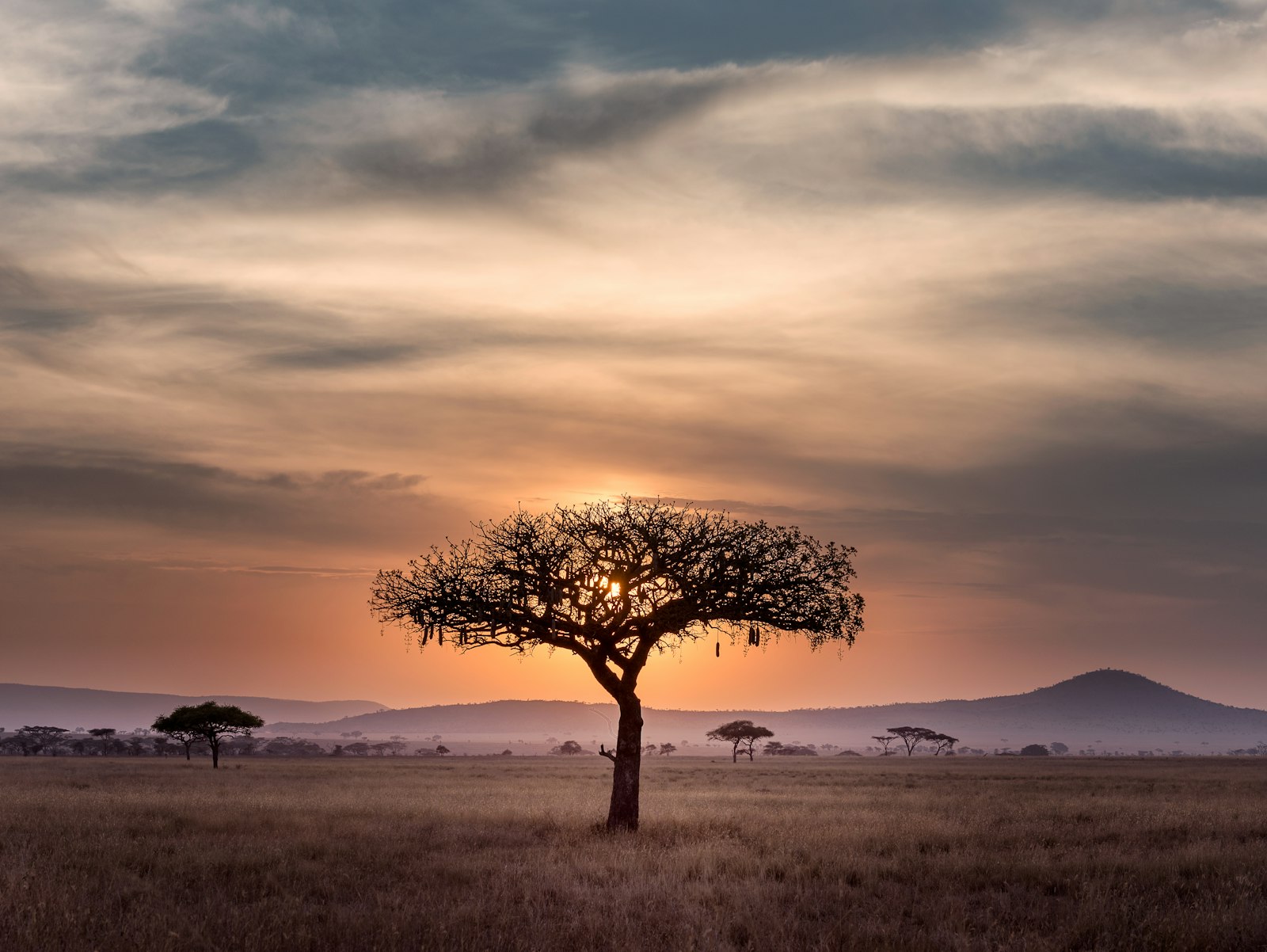 The Turkana landscape at dusk, wide open and full of possibility